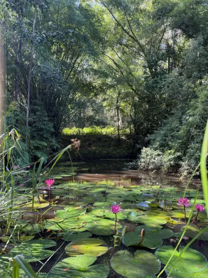 , Chevallum QLD 4555-Image