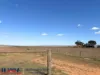 Council Auction - Multiple Allotments, Snowtown, SA 5520-Image