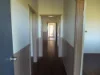 , Dorrigo NSW 2453-Image
