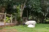 , Eerwah Vale QLD 4562-Image