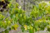 , Eerwah Vale QLD 4562-Image