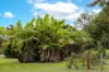 , Eerwah Vale QLD 4562-Image