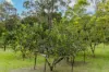 , Eerwah Vale QLD 4562-Image