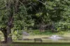 , Eerwah Vale QLD 4562-Image