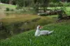 , Eerwah Vale QLD 4562-Image