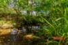 Firefly Cottage 1702 Booral Road, Girvan, NSW 2425-Image