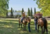 "Kikenbak", 2 Dog Trap Road, Yass, NSW 2582