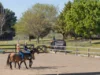 "Kikenbak", 2 Dog Trap Road, Yass, NSW 2582-Image