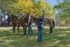 "Kikenbak", 2 Dog Trap Road, Yass, NSW 2582-Image