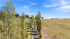'Kildara Homestead' Mitchell Highway, Orange, NSW 2800-Image
