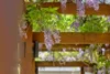 , Kurrajong NSW 2758-Image
