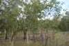Level 52/630 Miles Road, Eva Valley, NT 0822-Image