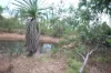 Level 52/630 Miles Road, Eva Valley, NT 0822-Image