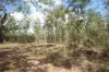 Level 52/630 Miles Road, Eva Valley, NT 0822-Image