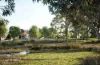 Lot 0644  Rochester Road, Rowville, Vic 3178-Image