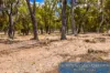 Lot 1/1614 Gibbs Road, Dinninup, WA 6244-Image