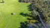 Lot 1/1614 Gibbs Road, Dinninup, WA 6244-Image