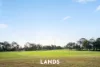 Lot 1/19 Debra Crescent, Salisbury East, SA 5109-Image