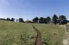 Lot 1/232 Forest Hill Road, Newlyn, Vic 3364-Image