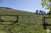Lot 1/232 Forest Hill Road, Newlyn, Vic 3364-Image
