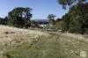 Lot 1/232 Forest Hill Road, Newlyn, Vic 3364-Image