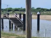 LOT 12/12 Hinkson Esplanade, Groper Creek, Qld 4806-Image