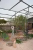 Lot 1415 Marsh Place, Coober Pedy, SA 5723-Image