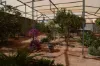 Lot 1415 Marsh Place, Coober Pedy, SA 5723-Image