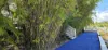 Lot 163 Trade Winds Drive, Cardwell, Qld 4849-Image