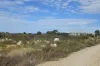 Lot 174 Sandstone Place, Karakin, WA 6044-Image