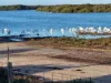 Lot 1786 The Esplanade, Middle Beach, SA 5501-Image