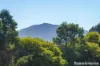 Lot 2/176 Saunders Road, New Gisborne, Vic 3438-Image