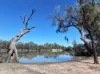Lot 2 / 5669 Sturt Highway, Monak, NSW 2738