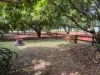 Lot 2 Birds Road, Tingoora, Qld 4608-Image