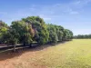 Lot 2 Birds Road, Tingoora, Qld 4608-Image