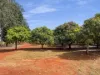 Lot 2 Birds Road, Tingoora, Qld 4608-Image