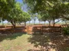 Lot 2 Birds Road, Tingoora, Qld 4608-Image
