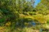 LOT 2 BUSHPADDOCK CREEK ROAD, Mount Byron, Qld 4312-Image
