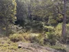 LOT 2 BUSHPADDOCK CREEK ROAD, Mount Byron, Qld 4312-Image