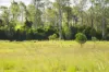 Lot 2 Keenes Road, Bauple, Qld 4650-Image