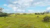 Lot 2 Keenes Road, Bauple, Qld 4650-Image