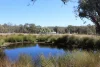 Lot 231 Jibbinbar Road, Springdale, Qld 4380-Image