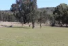 Lot 231 Jibbinbar Road, Springdale, Qld 4380-Image
