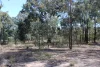 Lot 231 Jibbinbar Road, Springdale, Qld 4380-Image