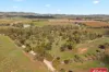 Lot 32 Altona Road, Lyndoch, SA 5351-Image