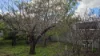 Lot 34 & 35 Anderson Street, Gibson, WA 6448-Image