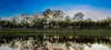 Lot 39 174 Adare Road, Adare, Qld 4343-Image