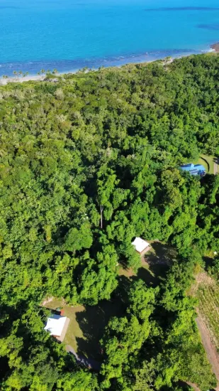 Lot 4 Cape Tribulation Road, Cape Tribulation, Qld 4873