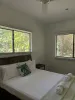 Lot 4 Cape Tribulation Road, Cape Tribulation, Qld 4873-Image