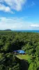 Lot 4 Cape Tribulation Road, Cape Tribulation, Qld 4873-Image